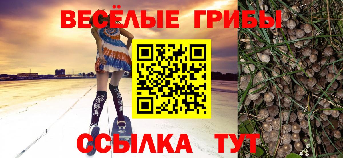 Галлюциногенные грибы GOLDEN TEACHER  Псилоцибиновые грибы MAGIC MUSHROOMS  Бугуруслан  Вход с VPN 