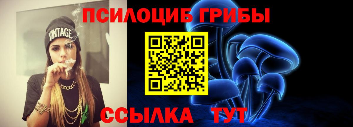 Псилоцибиновые грибы Psilocybe Бугуруслан